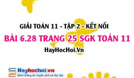 Bài 6.28 trang 25 Toán 11 tập 2 Kết nối tri thức